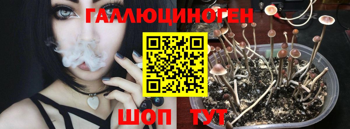 Галлюциногенные грибы прущие грибы Красногорск