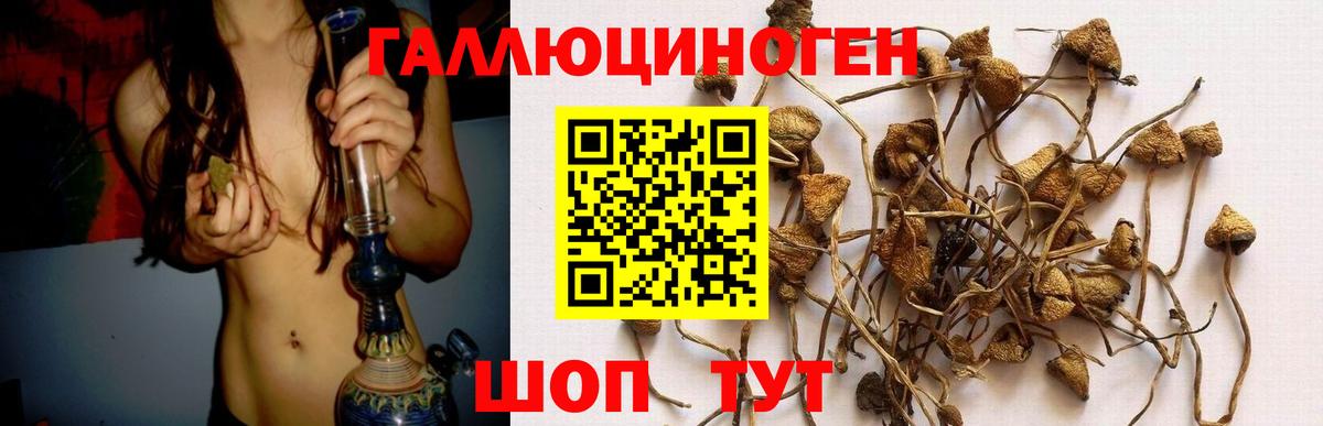 Красногорск  Псилоцибиновые грибы MAGIC MUSHROOMS  Вход с VPN 